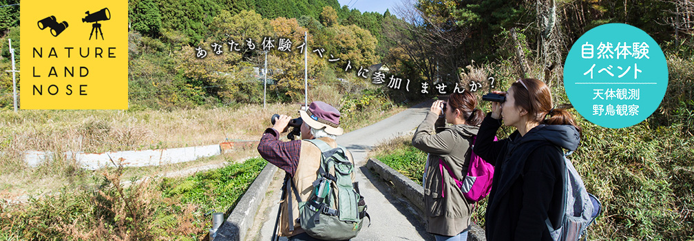 野鳥観察機材