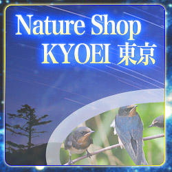 Nature Shop KYOEI ����